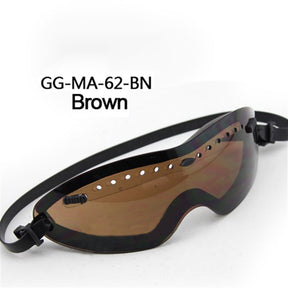 Smith Goggle